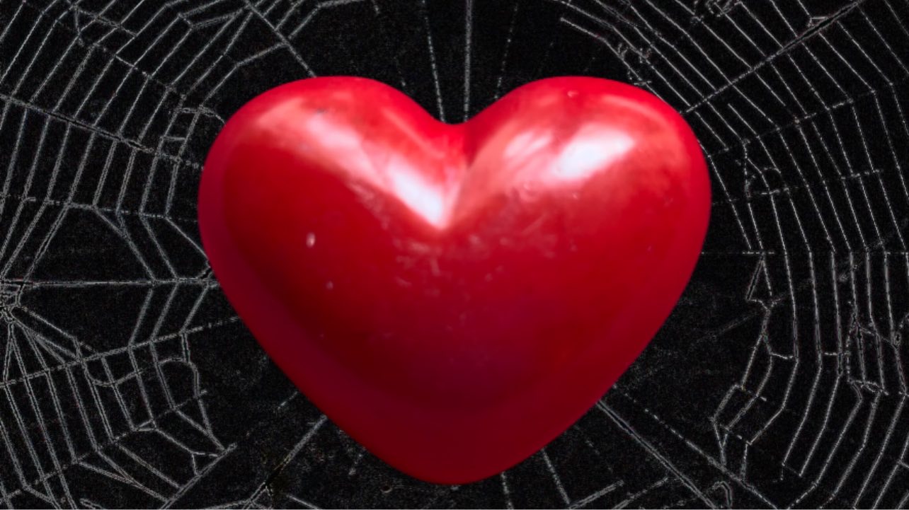 Rotes Steinherz im Spinnennetz, Symbol für die Gleichberechtigung in Beziehungen.